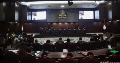 Mk Minta Pemerintah Tunda Terbitkan Hukum Pelaksana Uu Konservasi Sda