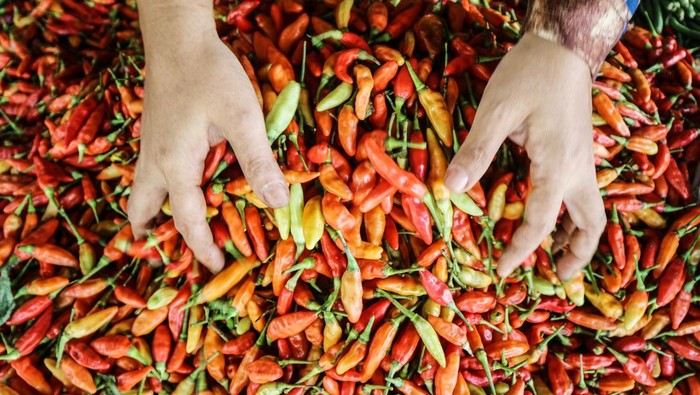 Harga Sembako Jatim Hari Ini, Cabe Rawit Dan Bawang Merah Naik