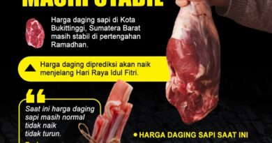Harga Daging Sapi 1 Kg Hari Ini Naik